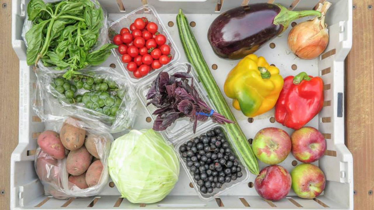 CSA share box of fresh vegetables. 
